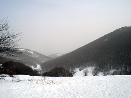 snowy landscape screenshot
